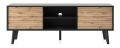 Szafka RTV-154 WILLOW  |Dąb artisan\ Czarny